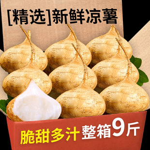 �V���������r�F�ڰ׵ع��r���خa����ˮ��ɳ����������������