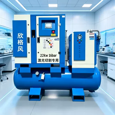 Integrated Permanent Magnet Variable Hava kompressorları