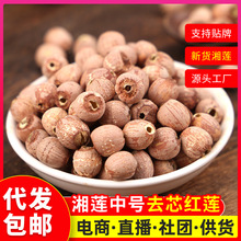 湘莲去芯红莲子批农产品红莲子带皮去芯湘莲500g散装莲子干货批发