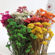 С�׻��ɻ������������׻���ɫ���r����DIY�b�����Ȼ�滨����