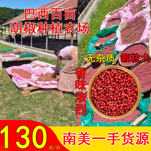 ���� �t���� �� �ۺ��� ���� ����ţ�ş�����ĥ�{ζ��PINK PEPPER