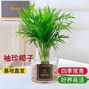 ���FҬɢβ�������҃Ȼ��ܾGֲ�Pβ��͏d�Gֲ���Bֲ������Ҭ��
