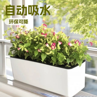 长方形塑料自动吸水懒人花盆阳台种菜花盆容器绿萝花盆厂家直销