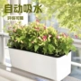 长方形自动吸水塑料花盆