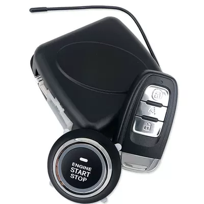 Remote Ignition, Pke, Car anti-theft device
