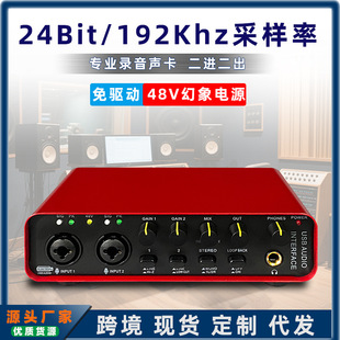 Professional Recording Sound Card, External Computer Driver-Free Dubbing and Mixing, Internal Recording Mixer, Mobile Phone Live Streaming and Singing Equipment