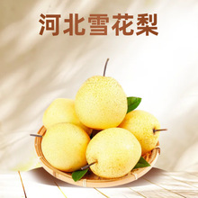 ���rѩ�������Ƥˮ������5�����ѩ���w��ѩ�殔��ˮ�������