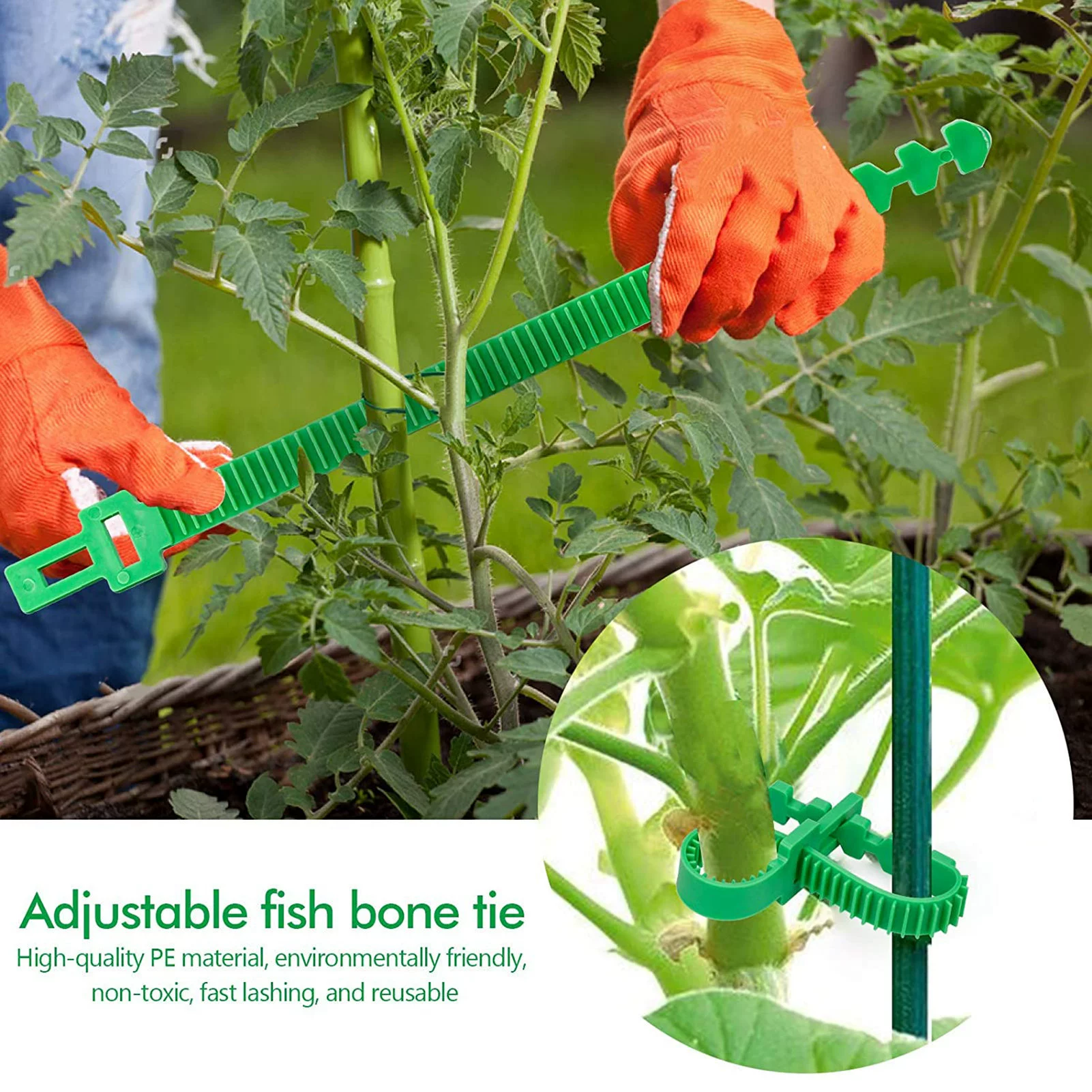 Сад садоводство сад дерево вязочный ремень трансграничный виноградное растение многоразовая пластиковая фиксированная пряжка