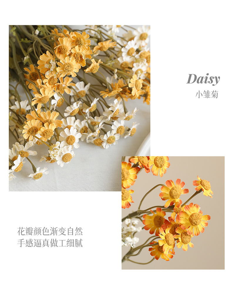 花菲单枝小雏菊_07.jpg