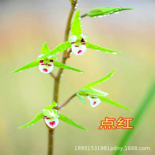 �m���� �t�Ӽt���m�����m������ �ļ��҃ȿ͏dͥԺ�̨�Gֲ����
