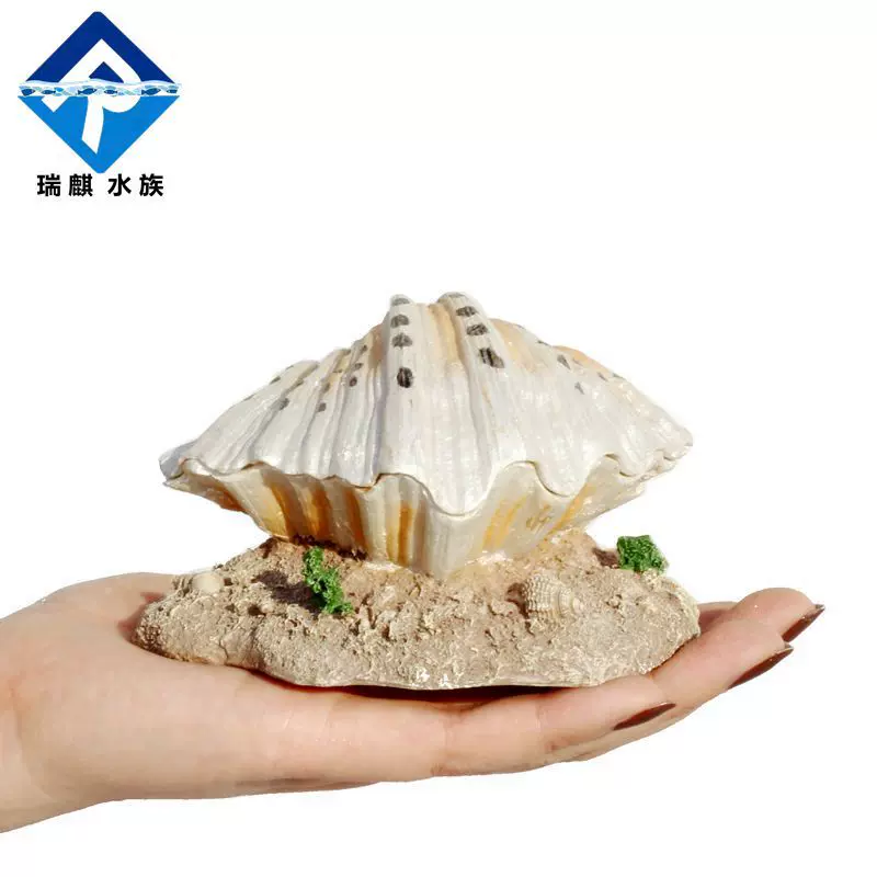 瑞麒水族创意气动增氧泵珊瑚礁石假山贝壳蚌壳气泡造景装饰品摆件