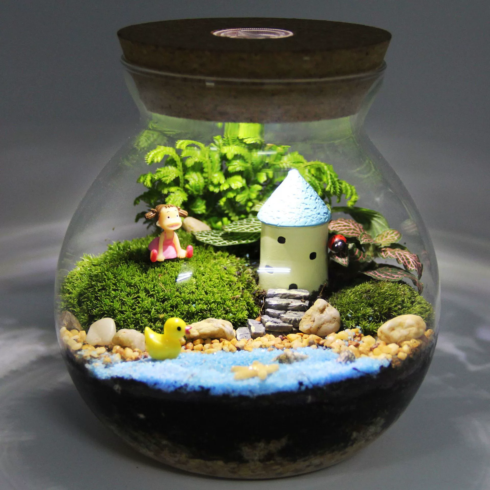 Мох Микро Пейзаж Творческий Подарок Украшения Зеленое Растение Экологический Костюм Бутылки Аэробные Растения Мини Мир