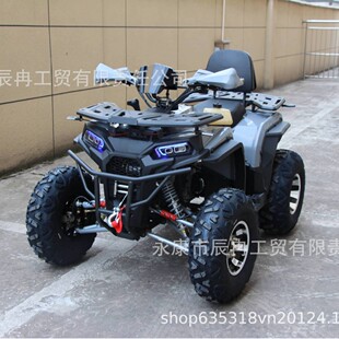 200ccɳ��܇4x2 �����Ǒ���ԽҰATV UTV4X4����ȫ���γ���ɽ��܇