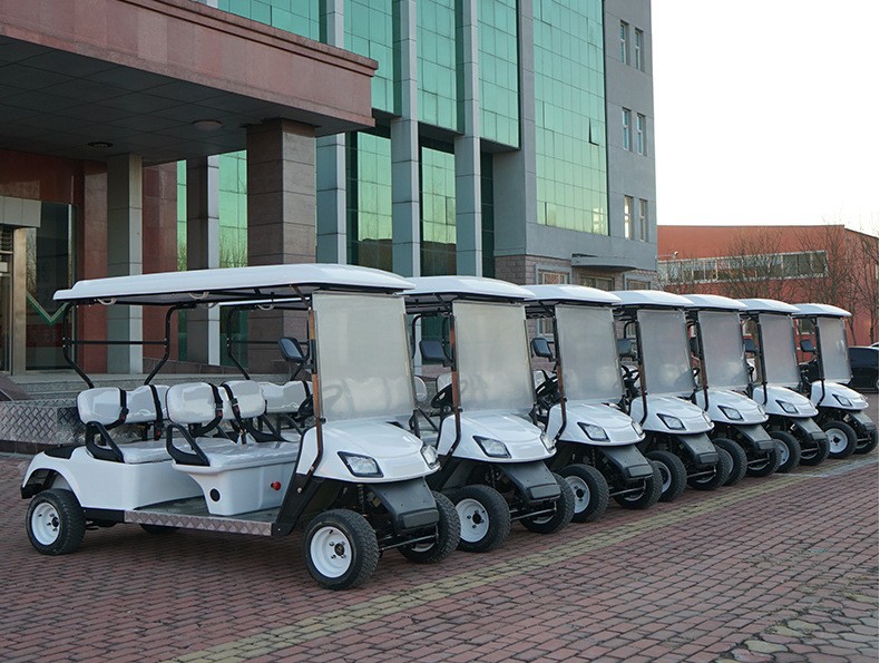 Golf Cart, Four-Wheel Sightseeing Vehicle, Hotel and B&B Property Viewing Tour Bus, Electric Sightseeing Car, Patrol Car