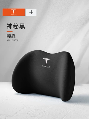 Waist Support | Waist support - teslas-special-model-mysterious-black-has-a-waist-support