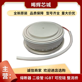 普通晶闸管;IGBT模块;其他二极管