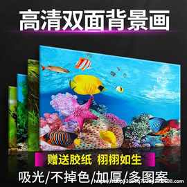 鱼缸背景纸画高清图3d立体鱼缸壁纸挂画双面水族箱装饰鱼缸贴纸皓