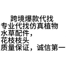 �羳ˮ����� ����ֲ��