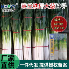 �����F�U���[�N�Ӹ߮a�ͺ��߲˷N��ɽ�|���[�N���ļ����N�߲˷N��