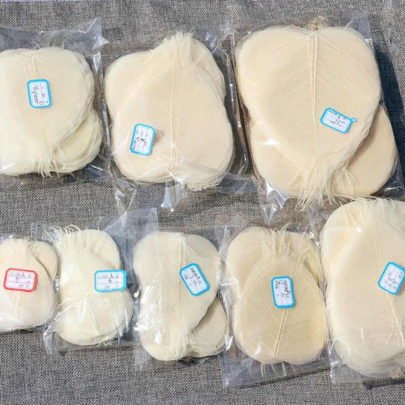 Образец листовой книги листовой материал Бодхи наклейки роспись ремесла каллиграфия и живопись листьев Бодхи венозная живопись подписывает hcds