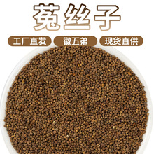 ����ܵ����»���˿��һ�ֻ�Դ��Ʒ����ֱ������������۰��ʺû�