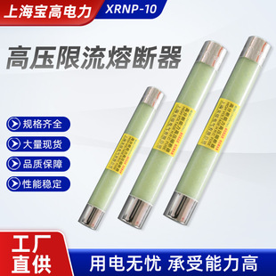 XRNP-10 �߉������۔��� ���������o�۔�� 늉�������PT��