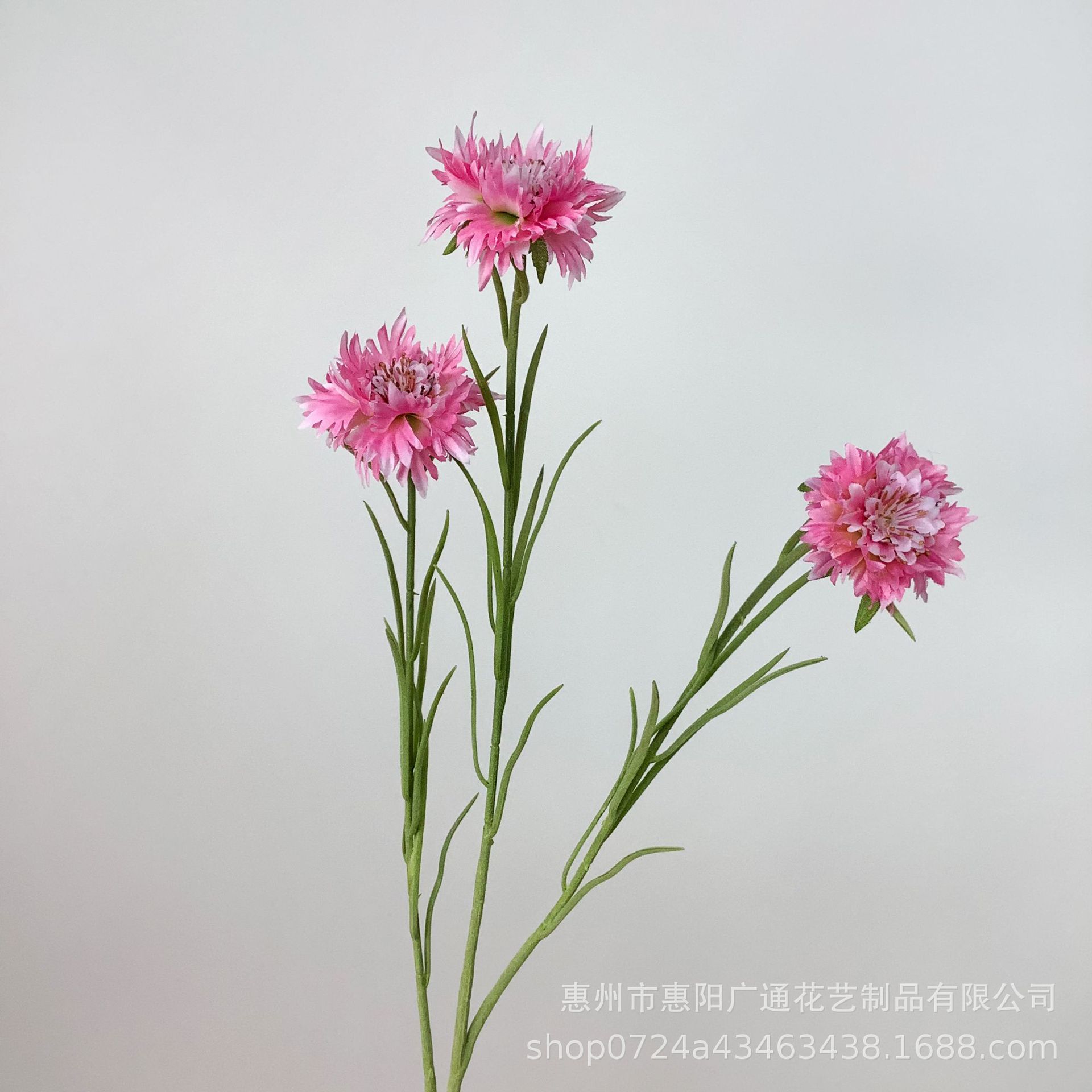 진한 분홍색