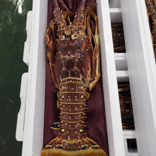 ���С�������r�r������r�������r���r���rˮ�a����Űʹ��r��S