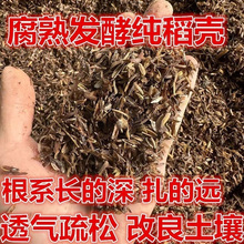 发酵稻壳腐熟盆栽配土稻谷壳绿植盆栽植物花卉三角梅月季通用厂家