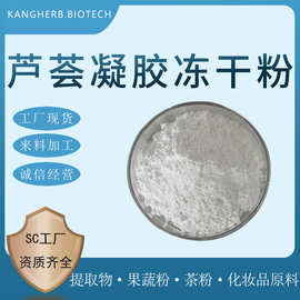 芦荟凝胶冻干粉 50:1-200:1 芦荟冻干粉 芦荟粉 库拉索芦荟冻干粉