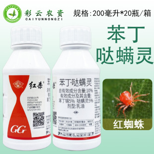 ����t�� 10%�����}�\�` �����a+�}�\�`���٘�t֩�뚢�x���rș