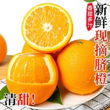 �~�ɠ����{�������wĚ�Ȯ���������r�����ք����һ�����l���l