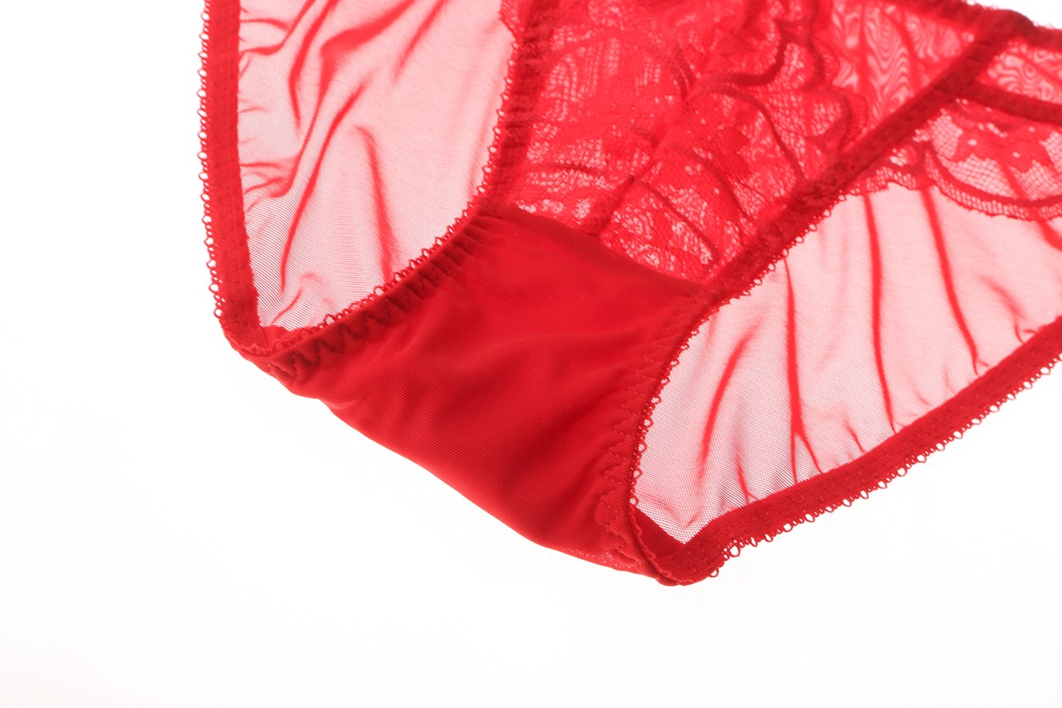 Women's Bra And Briefs Set Lace Perspective Thin Bra For Ladies_voghion.com