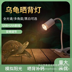 亀はバックライトを干して加熱してカルシウムを補います。