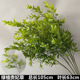 Lemon yellow green plant imperial concubine grass
