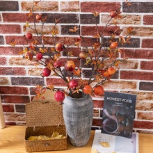 Sҷ滨5^ʯINSLҾb羳clٻMW25301