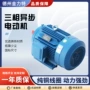 卧式三相定制异步电动机