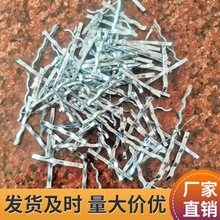 ���������y��w�S���a�S�� ���B���̝��B�øߏ�����N���y��w�S