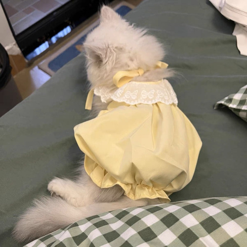 Cat dress, summer thin version, cute princess dress, backless, stuffed animal, Teddy, kitten, small dog, pet clothing