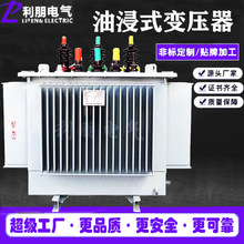 �����ͽ�ʽ��ѹ��s11-315kva���ിͭ10��ѹ���ʵ���s13-630kva