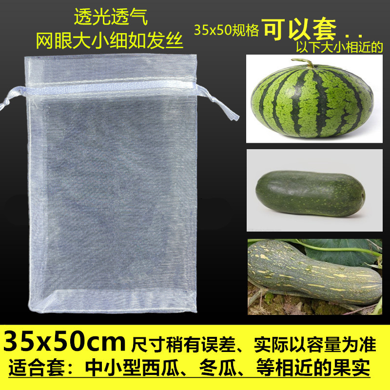 果樹袋防虫防鳥袋いちごいちじくザクロブドウトマト保護果実専用糸ネットカバー|undefined