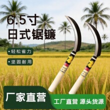 砵�6.5���i��r�È@ˇ��X��ʽ�߶˳��ڗ�ľ砵��r�ù���