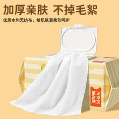 迪士尼維尼濕巾純水爽膚濕紙巾100片嬰兒手口屁專用濕巾家庭實惠