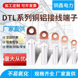 dtl摩擦焊铜铝接线端子DTL系列过渡铜铝鼻连接器国标非标接线鼻子
