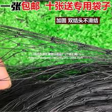套蛇尼龙网蛇袋网防蛇尼龙网单层黑色渔网加粗高强丝柔软粘网