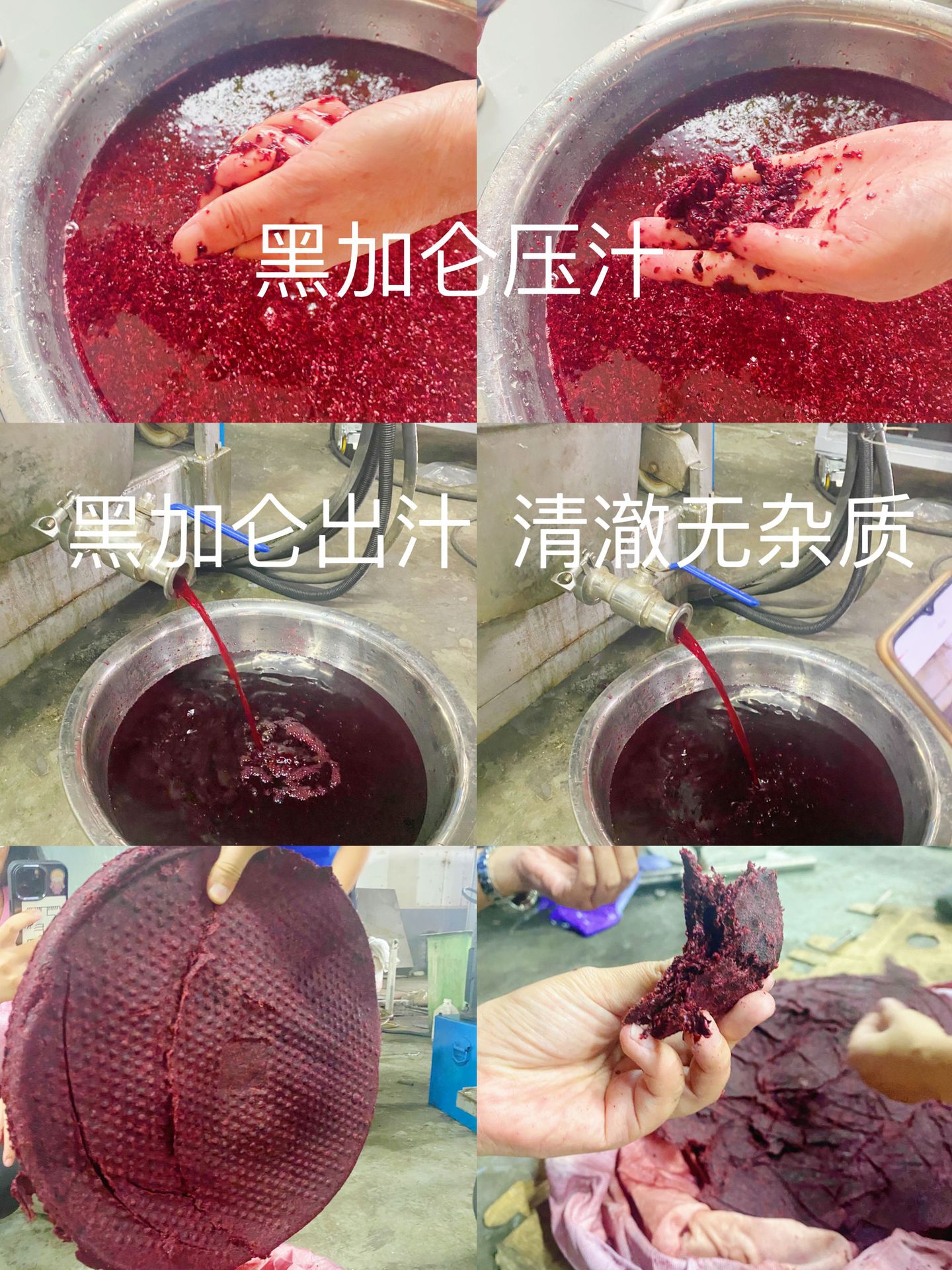 微信圖片_20220830142205.jpg