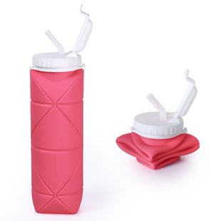 ���ܹ��z�ۯBˮ������ˮ�����������600ml���w�h���ռ{��yʽ