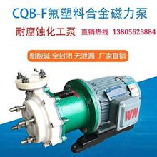 安徽卧龙CQB40-40-100F氟塑料合金磁力泵盐酸泵化工离心垒德株