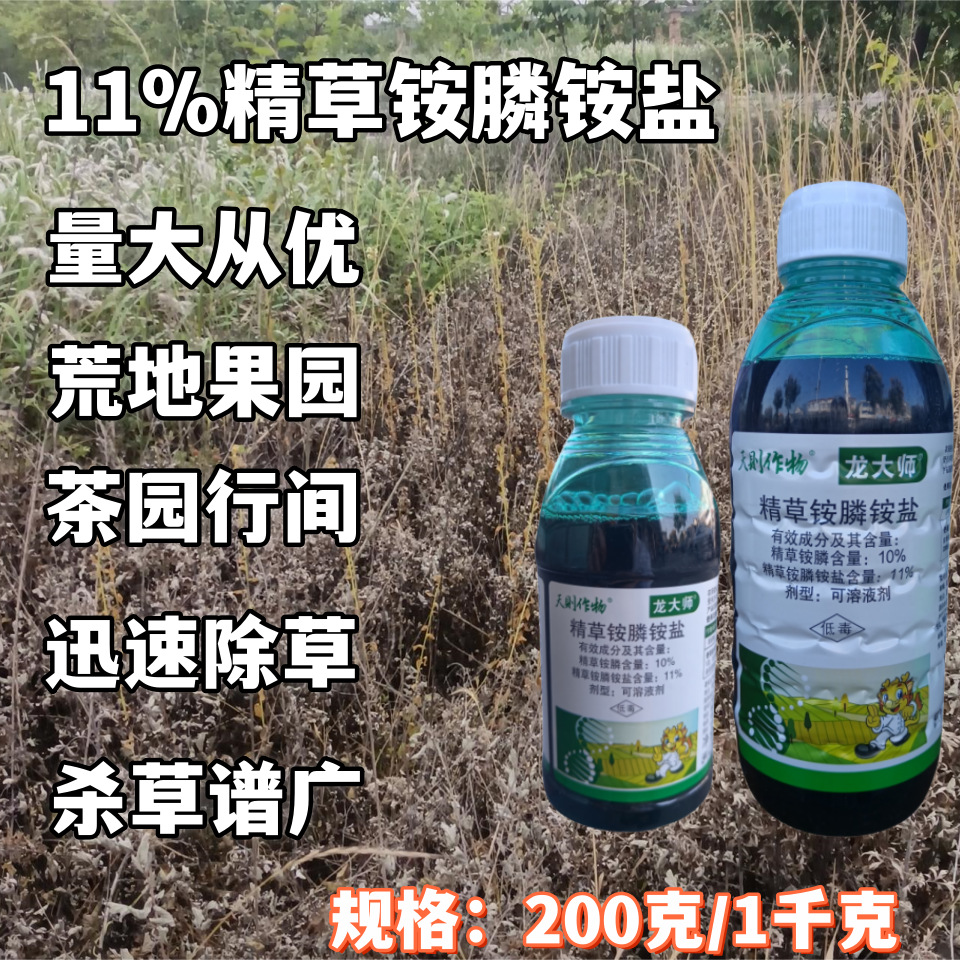 10%精草1000克_副本