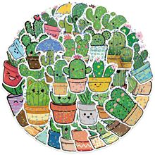 ������Ĥ��50���Gɫֲ�����Կ�ͨ�����Ʒ�ˮ�N��diy�������b��N